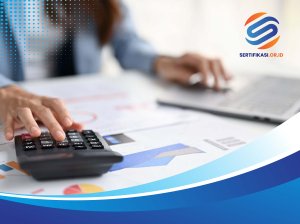 Akuntan Publik